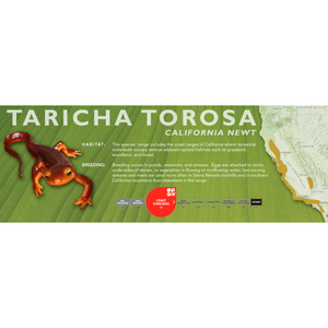 California Newt (Taricha torosa) - Standard Vivarium Label