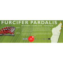 Load image into Gallery viewer, Panther Chameleon (Furcifer pardalis) Standard Vivarium Label