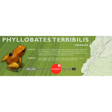 Load image into Gallery viewer, Phyllobates terribilis - Standard Vivarium Label
