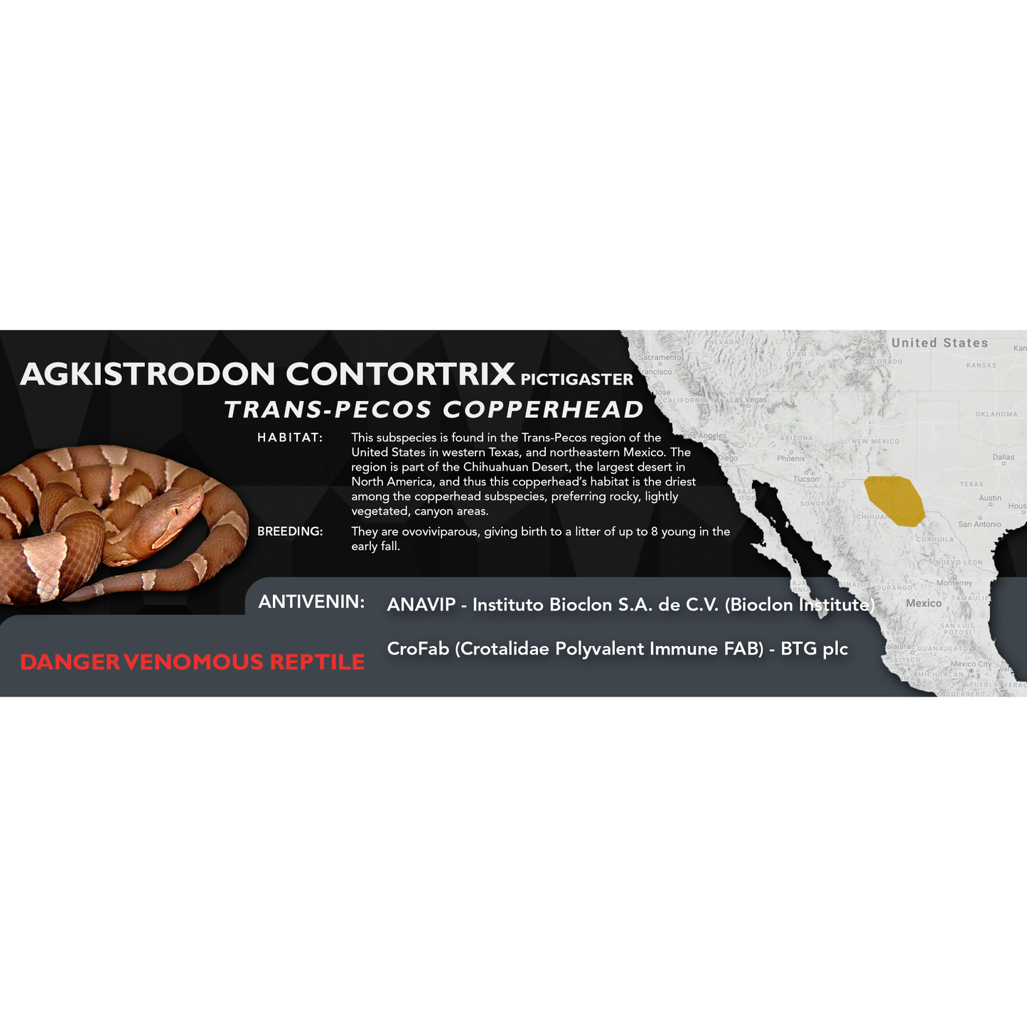 Copperhead (Agkistrodon contortrix) Standard Vivarium Label