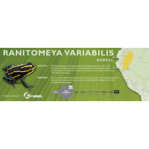 Ranitomeya variabilis - Standard Vivarium Label