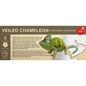 Veiled Chameleon (Chamaeleo calyptratus) - Black Series Vivarium Label
