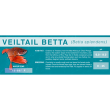 Load image into Gallery viewer, Betta Fish (Betta splendens) - Standard Aquarium Label