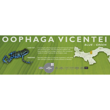Load image into Gallery viewer, Oophaga vicentei - Standard Vivarium Label