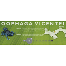 Load image into Gallery viewer, Oophaga vicentei - Standard Vivarium Label