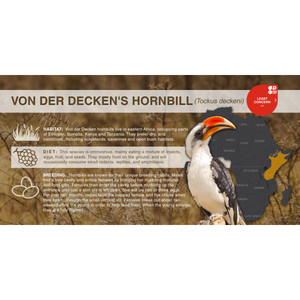 Von der Decken's Hornbill (Tockus deckeni) - Aluminum Sign