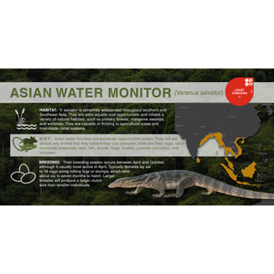 Asian Water Monitor (Varanus salvator) - Aluminum Sign