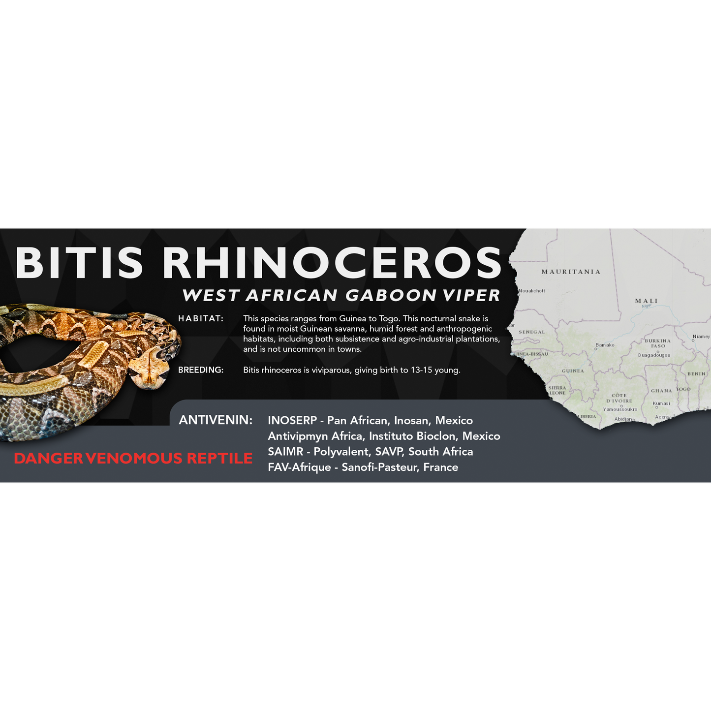 West African Gaboon Viper (Bitis rhinoceros) Standard Vivarium Label