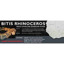 Load image into Gallery viewer, West African Gaboon Viper (Bitis rhinoceros) Standard Vivarium Label