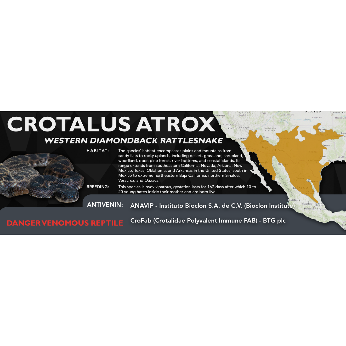 Western Diamondback Rattlesnake (Crotalus atrox) Standard Vivarium Label