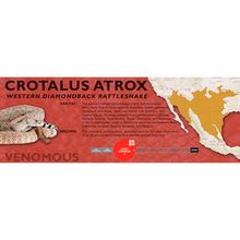 Load image into Gallery viewer, Western Diamondback Rattlesnake (Crotalus atrox) Standard Vivarium Label
