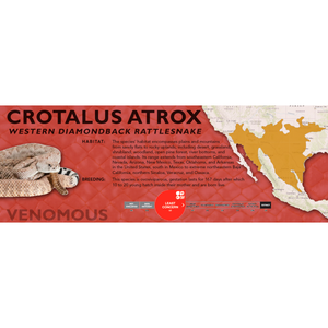 Western Diamondback Rattlesnake (Crotalus atrox) Standard Vivarium Label
