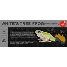 Load image into Gallery viewer, White&#39;s Tree Frog (Litoria caerulea) - Black Series Vivarium Label