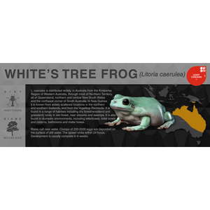 White's Tree Frog (Litoria caerulea) - Black Series Vivarium Label