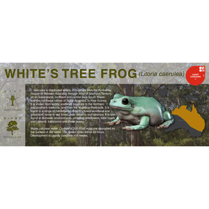 White's Tree Frog (Litoria caerulea) - Black Series Vivarium Label