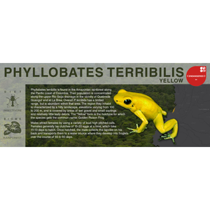 Phyllobates terribilis "Yellow" - Black Series Vivarium Label