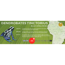 Load image into Gallery viewer, Dendrobates tinctorius - Standard Vivarium Label