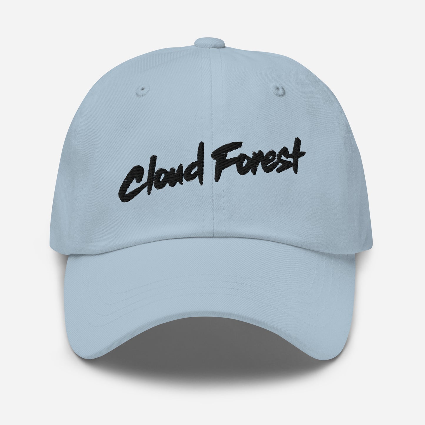 Cloud Forest Alternate Wordmark Pastel Collection Dad hat