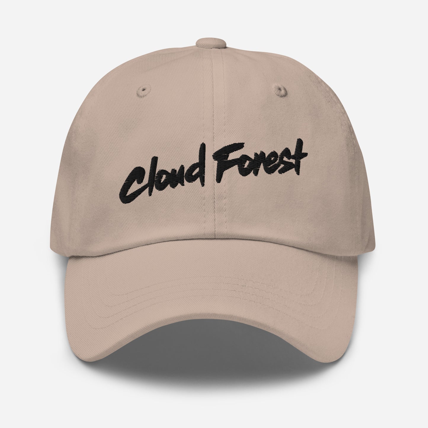 Cloud Forest Alternate Wordmark Pastel Collection Dad hat