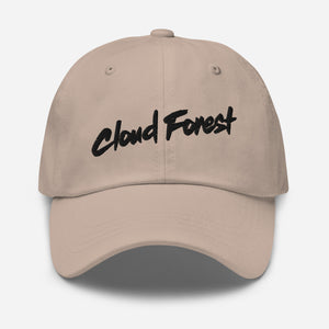 Cloud Forest Alternate Wordmark Pastel Collection Dad hat
