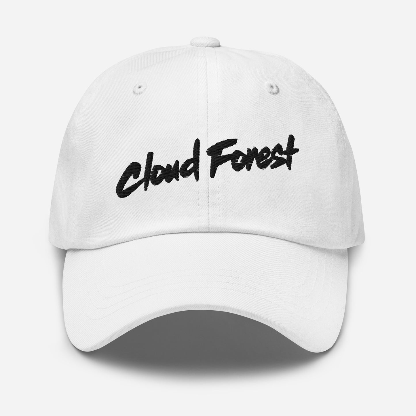 Cloud Forest Alternate Wordmark Pastel Collection Dad hat