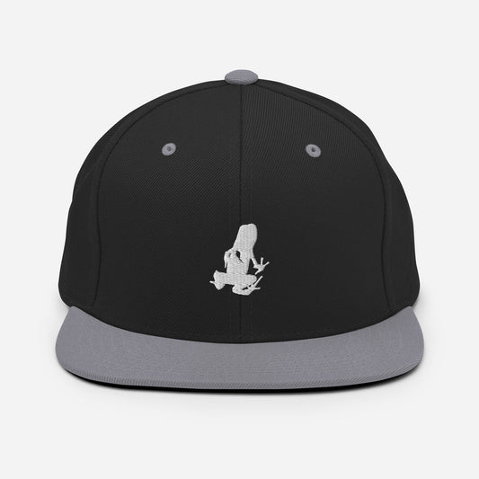 Dart Frog Transport Snapback Hat