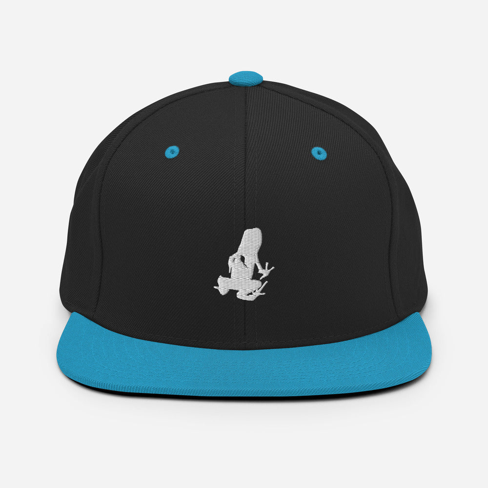 Dart Frog Transport Snapback Hat