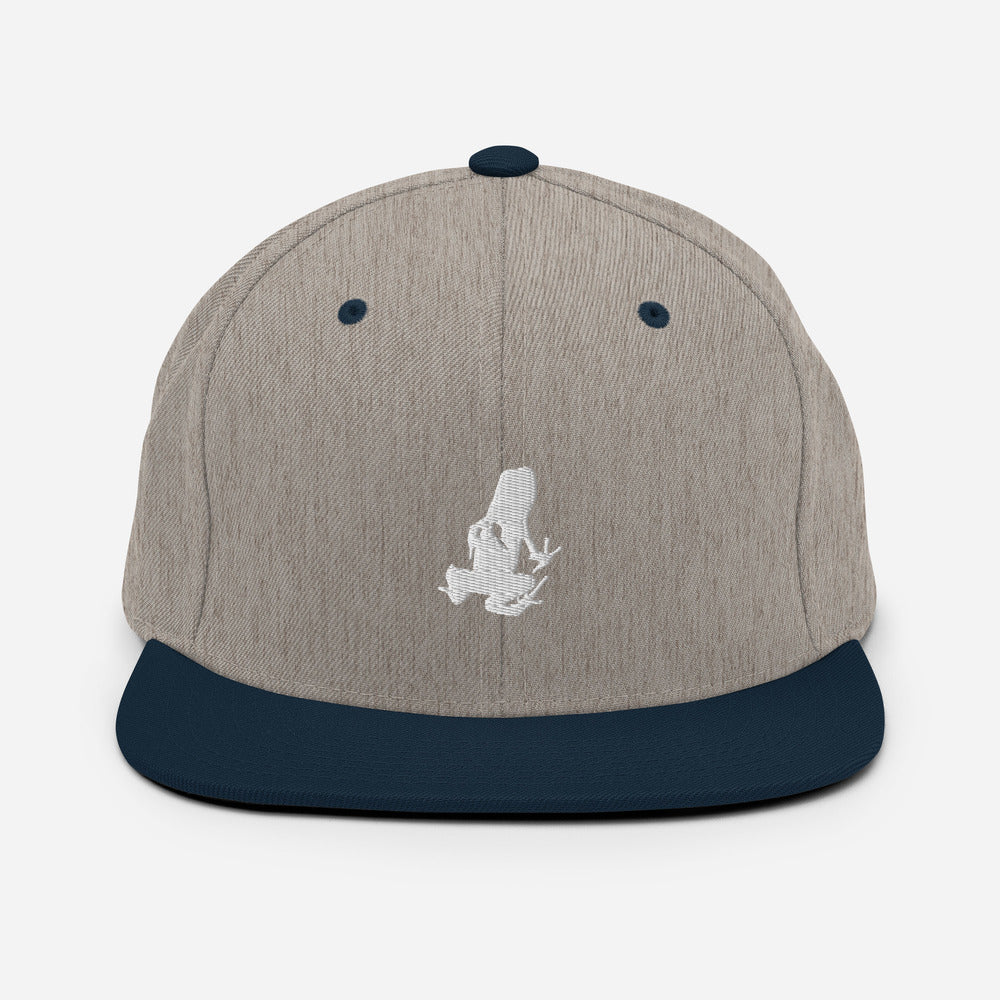 Dart Frog Transport Snapback Hat