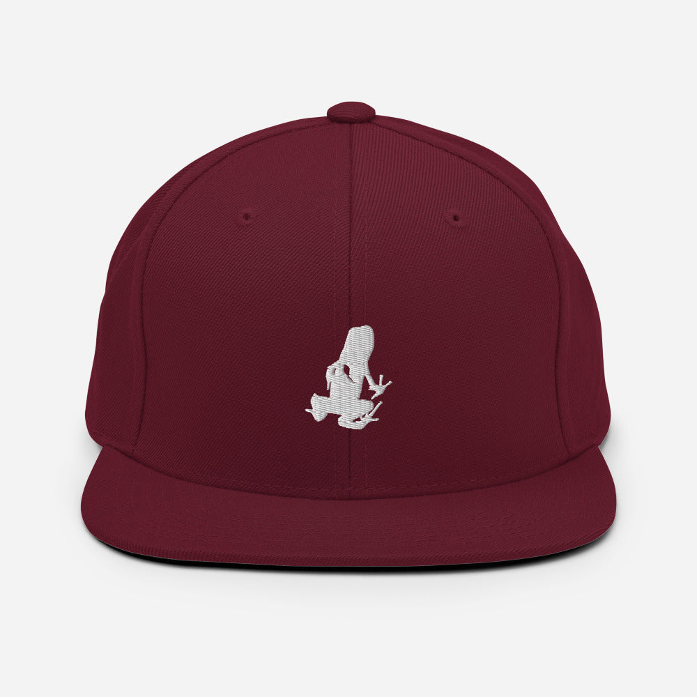 Dart Frog Transport Snapback Hat