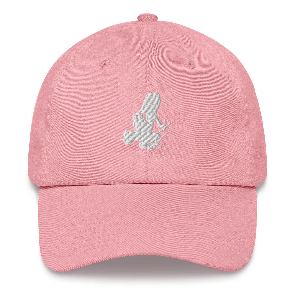 Dart Frog Transport Dad Hat